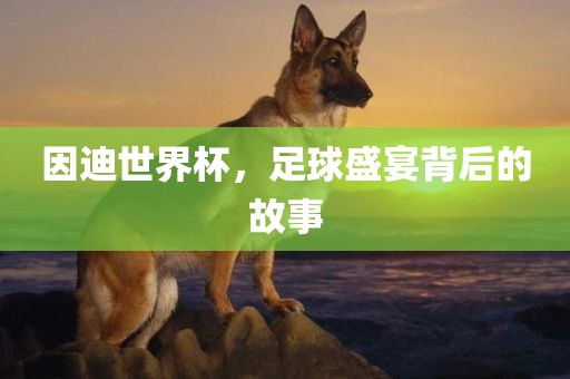 因迪世界杯，足球盛宴背后的故事眉山市正发家政服务有限公司