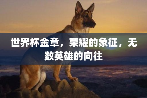 世界杯金章，荣耀的象征，无数眉山市正发家政服务有限公司英雄的向往