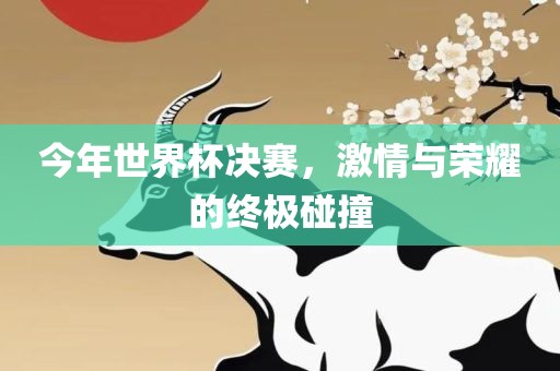 今年世界杯决赛，激情与荣耀的终极碰撞眉山市正发家政服务有限公司