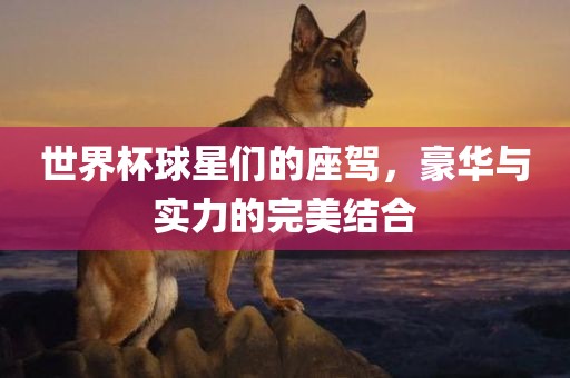 世界杯球星们的座驾，豪华与实力的完美结合