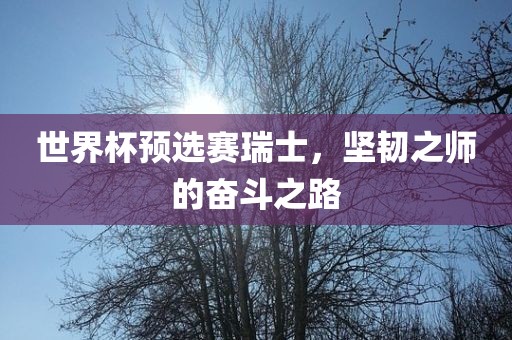 世界杯预选赛瑞士，坚韧之师的奋斗之路眉山市正发家政服务有限公司