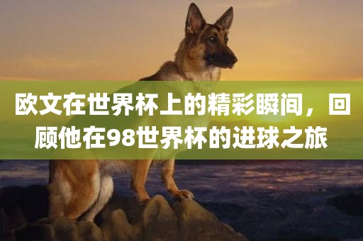 欧文在世界杯上的精彩瞬间，回顾他在98世界杯的进球之旅眉山市正发家政服务有限公司