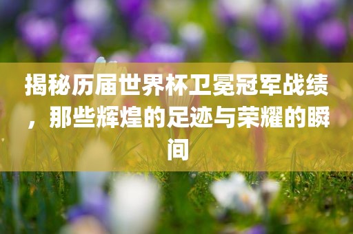 揭秘历眉山市正发家政服务有限公司届世界杯卫冕冠军战绩，那些辉煌的足迹与荣耀的瞬间