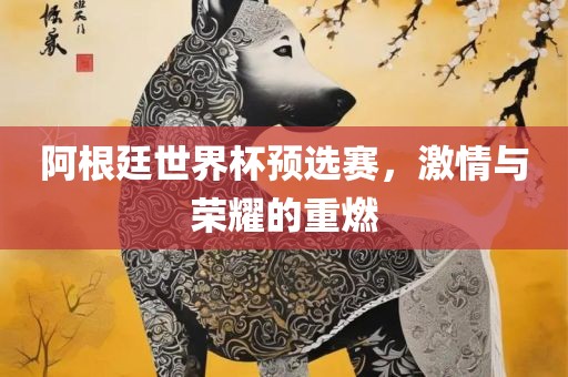 阿根廷世界杯预选赛，激情与荣耀的重燃