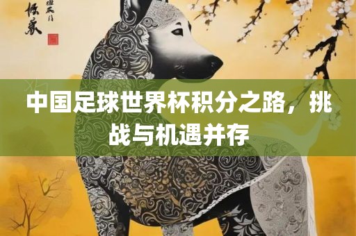 中国足球世界杯积分之路，挑战与机遇并存