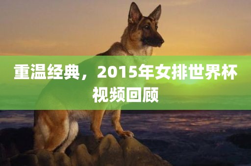 重温经典，2015眉山市正发家政服务有限公司年女排世界杯视频回顾