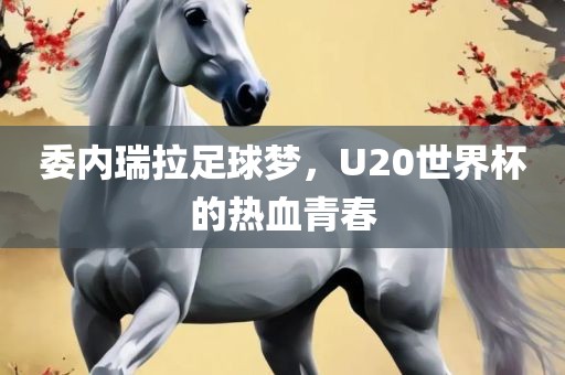 委内瑞拉足球梦，U20世界杯的热血青春