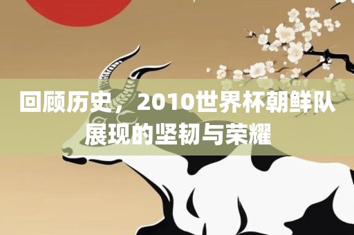 回顾历史，2010世界杯朝鲜队展现的坚韧与荣耀眉山市正发家政服务有限公司