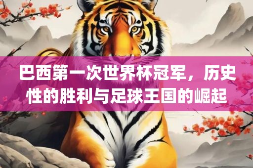 巴西第一次世界杯冠军，历史性的胜利与足球王国的崛起眉山市正发家政服务有限公司