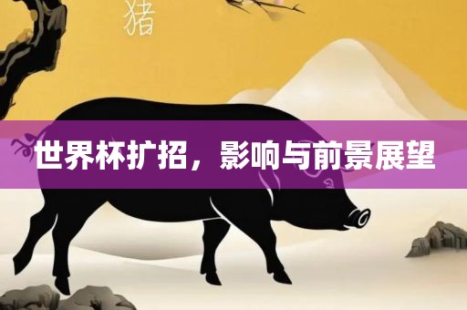世界杯扩招，影响与前景展望眉山市正发家政服务有限公司