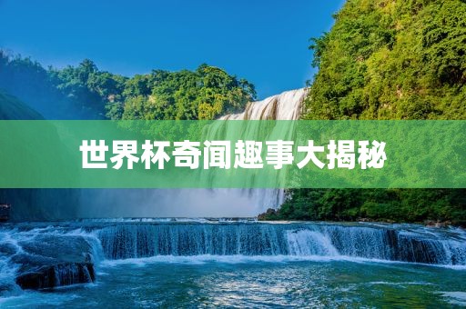 世界杯奇闻趣事大揭秘眉山市正发家政服务有限公司