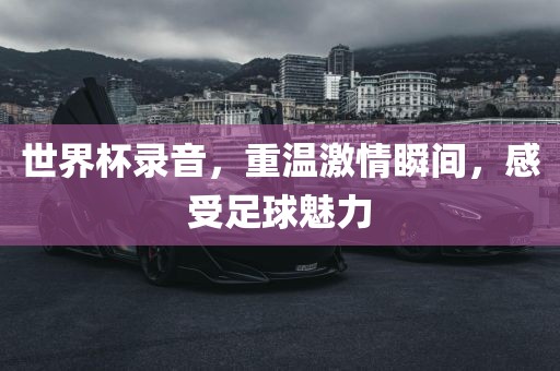 世界杯录音，重温激情瞬间，感受足球魅力眉山市正发家政服务有限公司