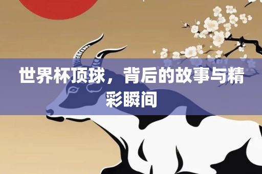 世界杯顶球，背后的故事与精彩瞬间眉山市正发家政服务有限公司