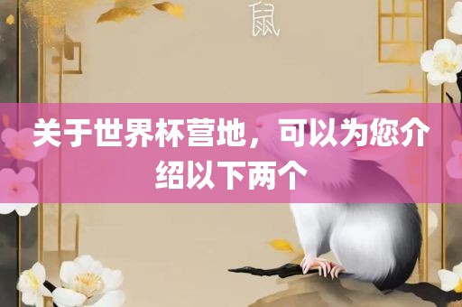 关于世界杯营地，可以眉山市正发家政服务有限公司为您介绍以下两个