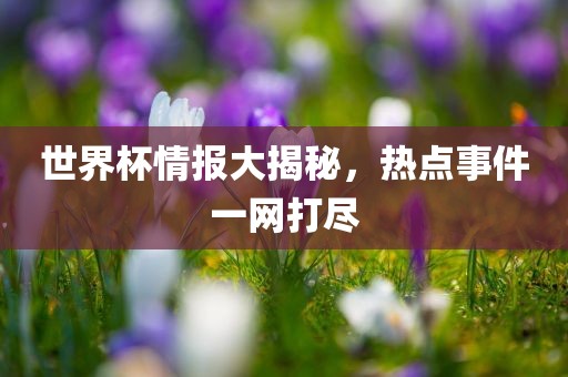 世界杯情报大揭秘眉山市正发家政服务有限公司，热点事件一网打尽