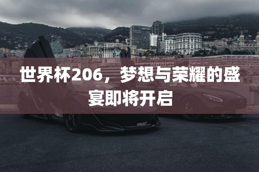 世界杯206，梦想眉山市正发家政服务有限公司与荣耀的盛宴即将开启