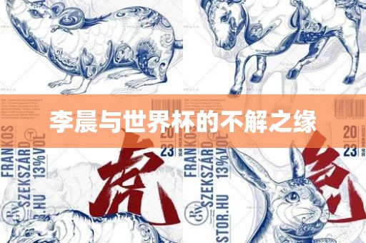 李晨与世界杯的不解之缘眉山市正发家政服务有限公司