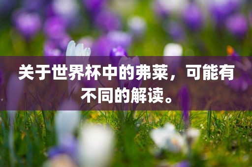 关于世界杯中的弗莱，可能有不同的解读。眉山市正发家政服务有限公司