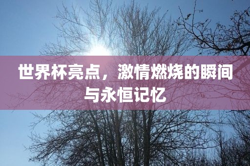 世界杯亮点，激情燃烧的瞬间与永恒记忆
