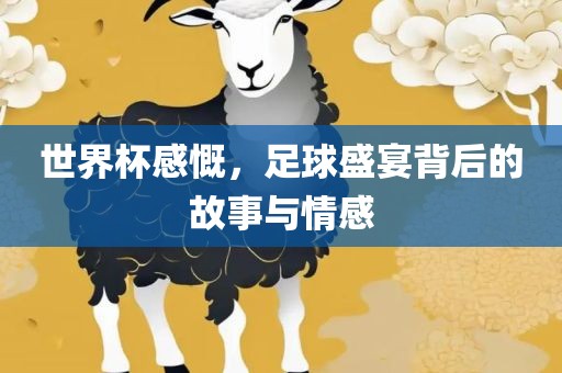 世界杯感慨，足球盛宴背后的故事与情感眉山市正发家政服务有限公司