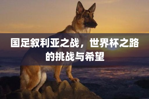 国足叙利亚之战，世界杯之路的挑战与希望眉山市正发家政服务有限公司