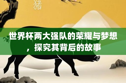 世界杯两大强队的荣耀与梦想，探究其背后的故事