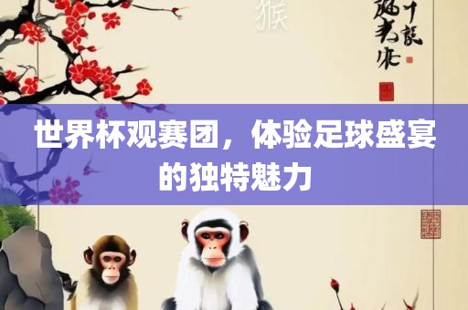 世界杯观赛团，体验足球盛宴的独特魅力