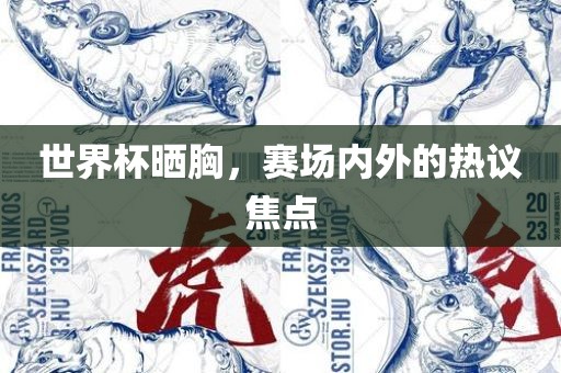 世界杯晒胸，赛场眉山市正发家政服务有限公司内外的热议焦点