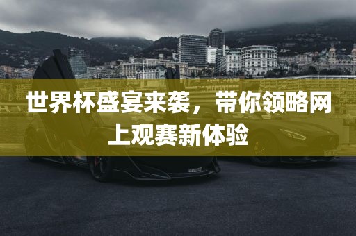 世界杯盛宴来袭，眉山市正发家政服务有限公司带你领略网上观赛新体验
