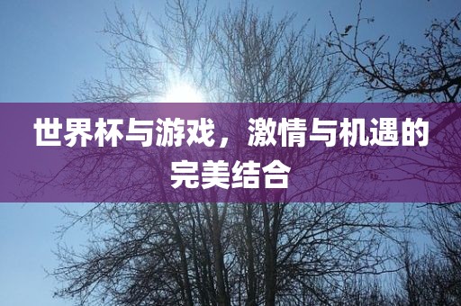 世界杯与游戏，激情与机遇的完美结合眉山市正发家政服务有限公司