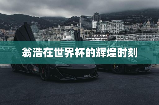 翁浩在世界杯的辉煌时刻