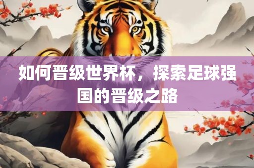 如何晋级世界眉山市正发家政服务有限公司杯，探索足球强国的晋级之路
