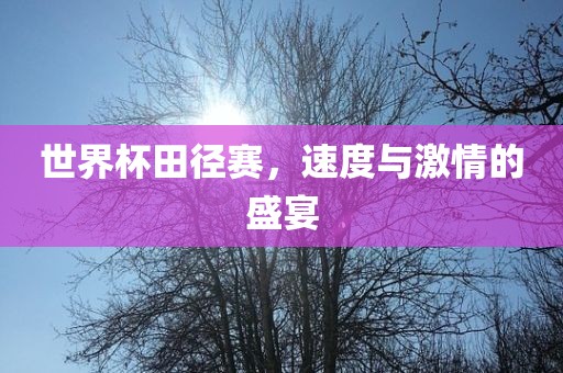 世界杯田径赛，速度与激情的盛宴