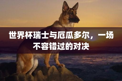 世界杯瑞士与厄瓜多尔，一场不容错过的对决眉山市正发家政服务有限公司