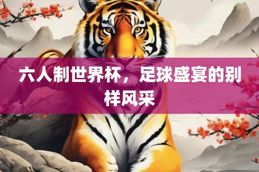 六人制世界杯，足球盛宴的别样风采眉山市正发家政服务有限公司