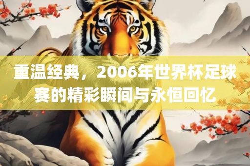 重温经典，2006年世界杯足球赛的精彩瞬间与永恒回忆