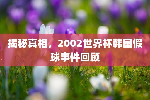 揭秘真相，2002世界杯韩国假球事件回顾