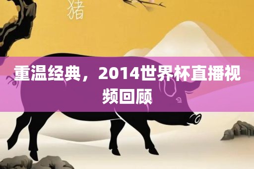 重温经典，2014世界杯直播视频回顾