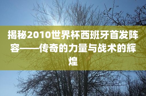 揭秘2010世界杯西班牙首发阵容——传奇的力量与战术的辉煌眉山市正发家政服务有限公司