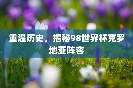 重温历史，揭秘98世界杯克罗地亚阵容