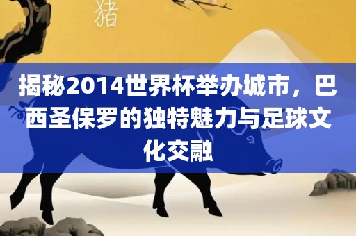 揭秘2014世界杯举办城市，巴西圣保罗的独特魅力与足球文化交融眉山市正发家政服务有限公司