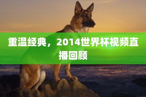 重温经典，2014世界杯视频直播回顾