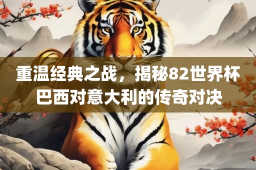重温经典之战，揭秘82世界杯巴西对意大利的传奇对决眉山市正发家政服务有限公司