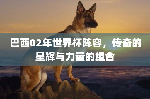 巴西02年世界杯阵容，传奇的星辉与力量的组合
