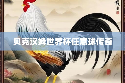 贝克汉姆世界杯任意球传奇