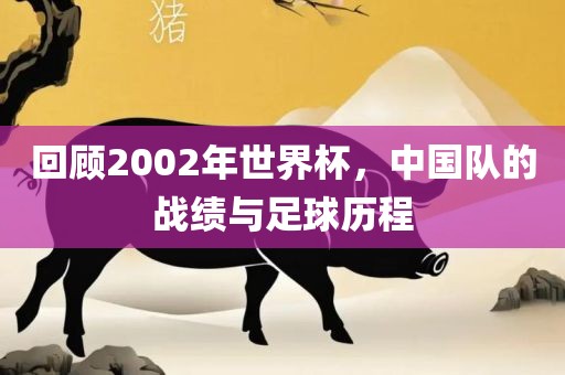 回顾2002年世界杯，中国队的战绩与足球历程
