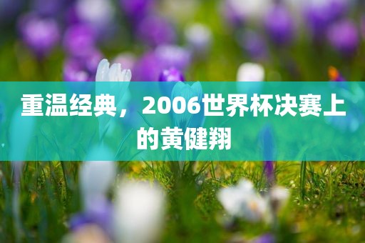 重温经典，2006世界杯决赛上的黄健翔眉山市正发家政服务有限公司
