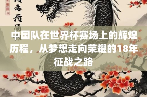 中国队在世界杯赛场上的辉煌历程，从梦想走向荣耀的18年征眉山市正发家政服务有限公司战之路