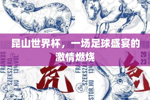 昆山世界杯，一场眉山市正发家政服务有限公司足球盛宴的激情燃烧
