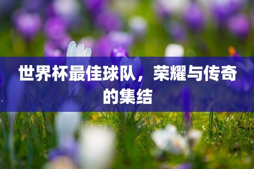世界杯最佳球队，荣耀与传奇的集结